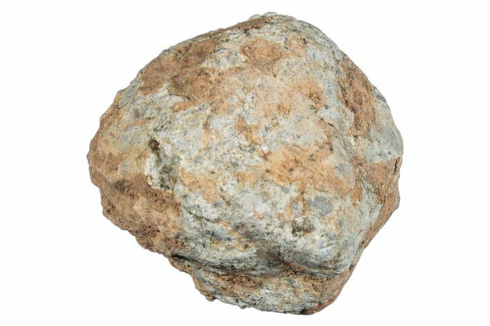 Lunar Meteorite ( g) - Bechar #281669